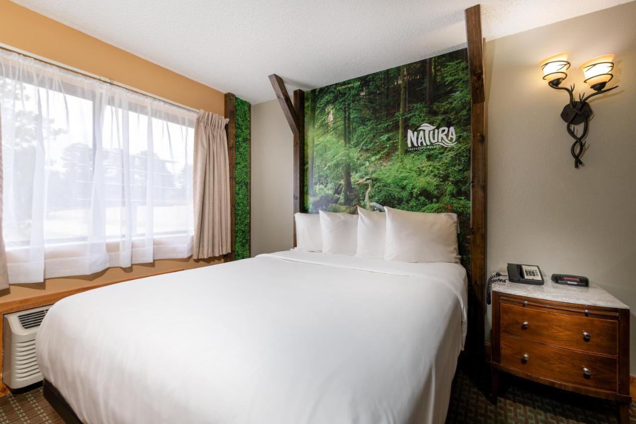 Hotel Natura Treescape
